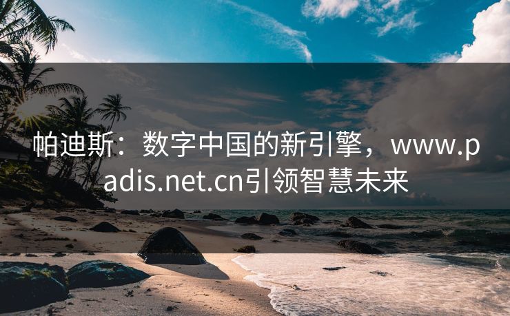 帕迪斯：数字中国的新引擎，www.padis.net.cn引领智慧未来