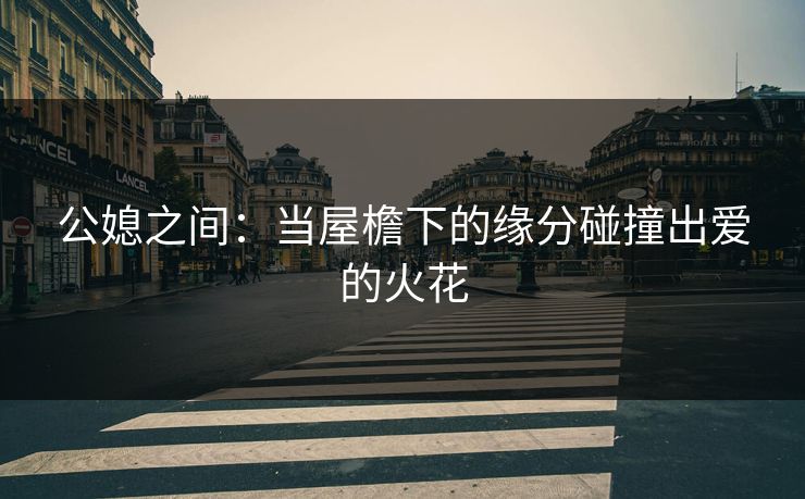 公媳之间：当屋檐下的缘分碰撞出爱的火花