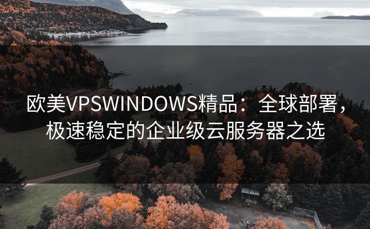 欧美VPSWINDOWS精品：全球部署，极速稳定的企业级云服务器之选