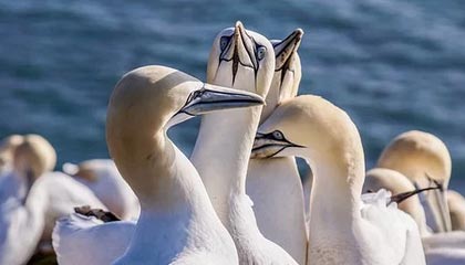 免费获取Avast!4.8专业版注册码：终极指南与安全新境界