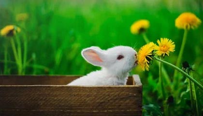 9分10张津瑜：夸克搜索背后的明星魅力与流量密码